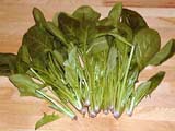 spinach1s.jpg